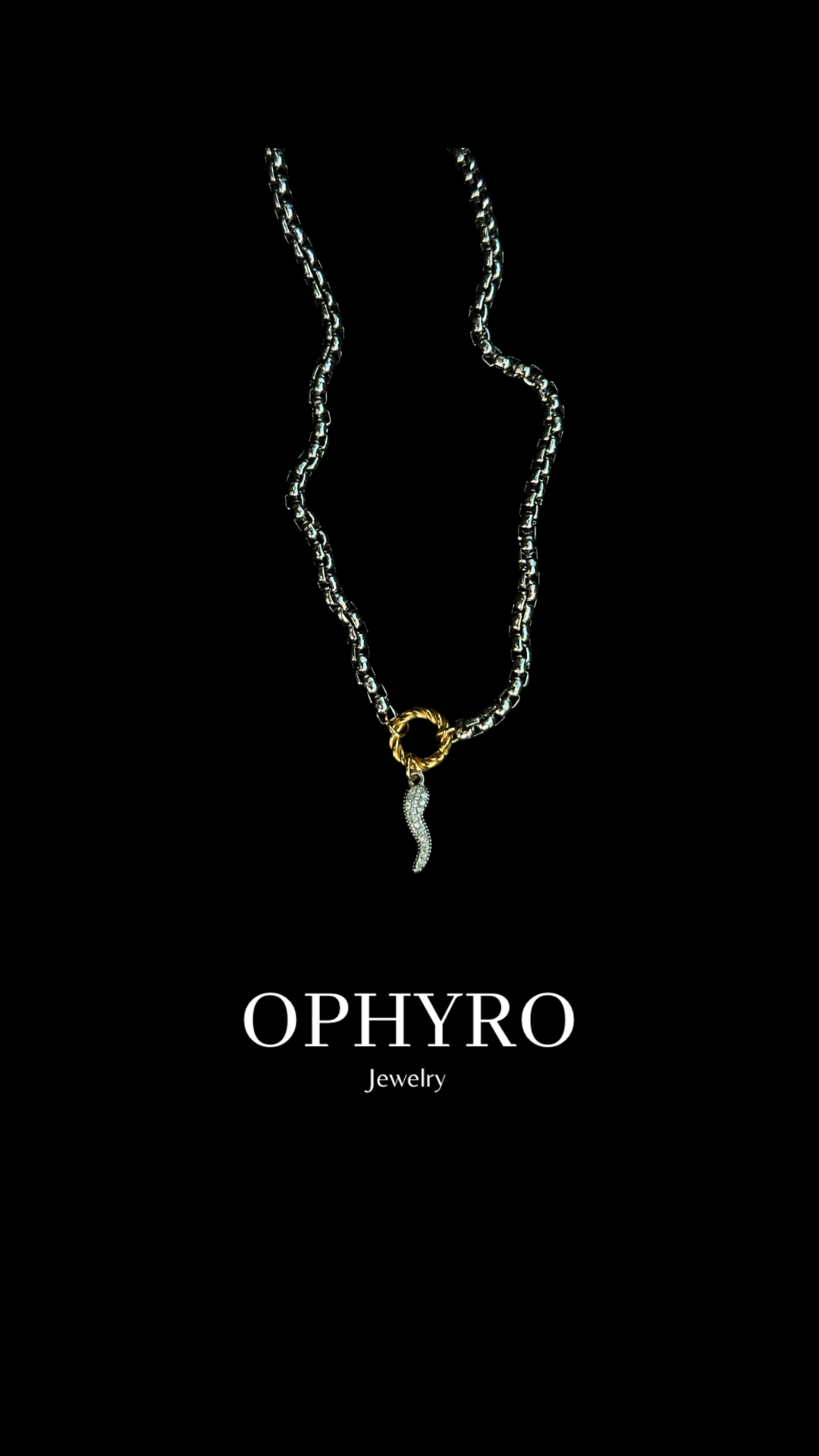 SILVER HORN NECKLACE