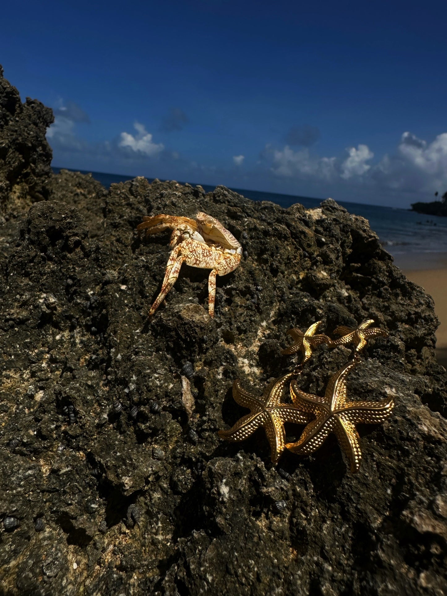 ESTRELLA EARRINGS