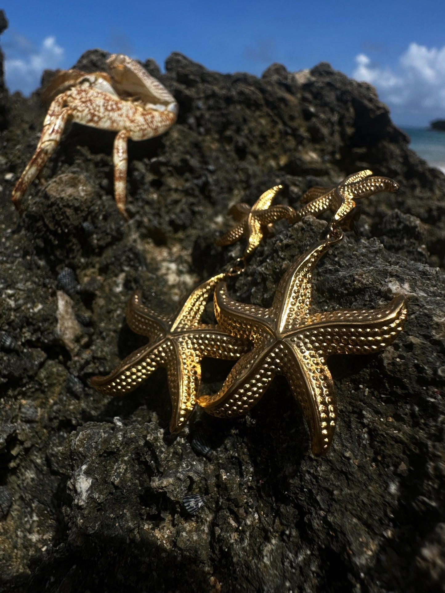 ESTRELLA EARRINGS