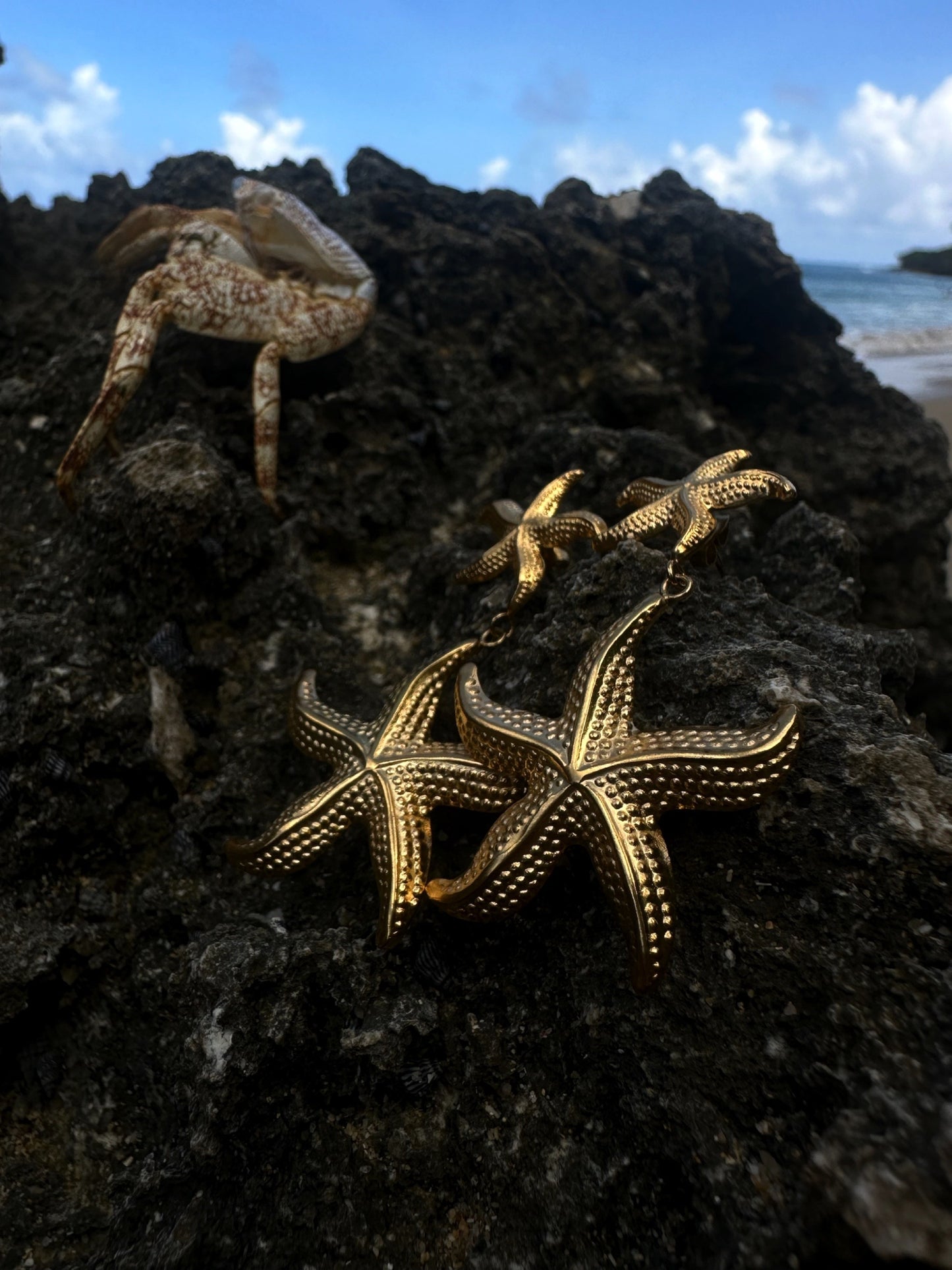 ESTRELLA EARRINGS