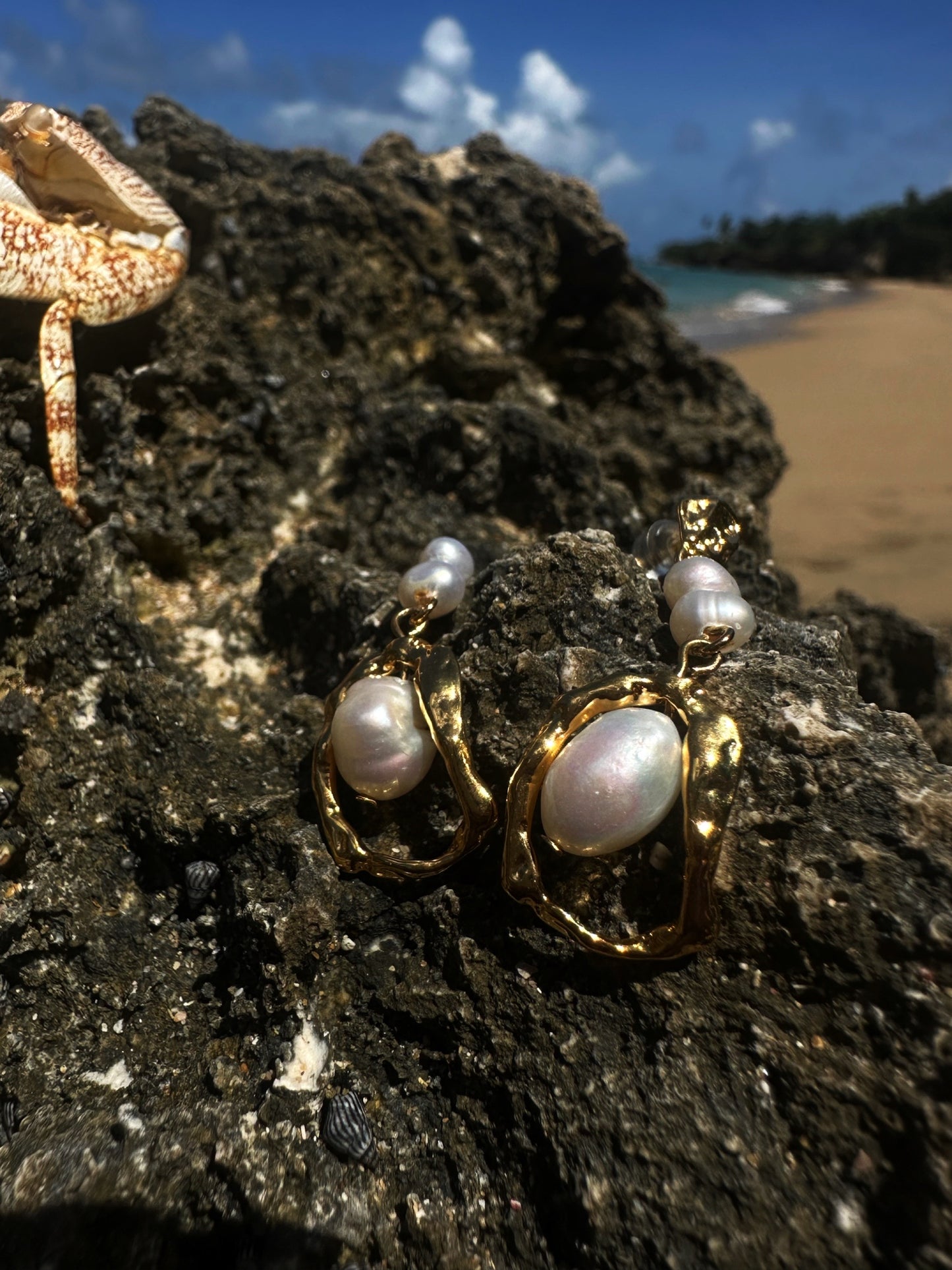 AQUA EARRINGS